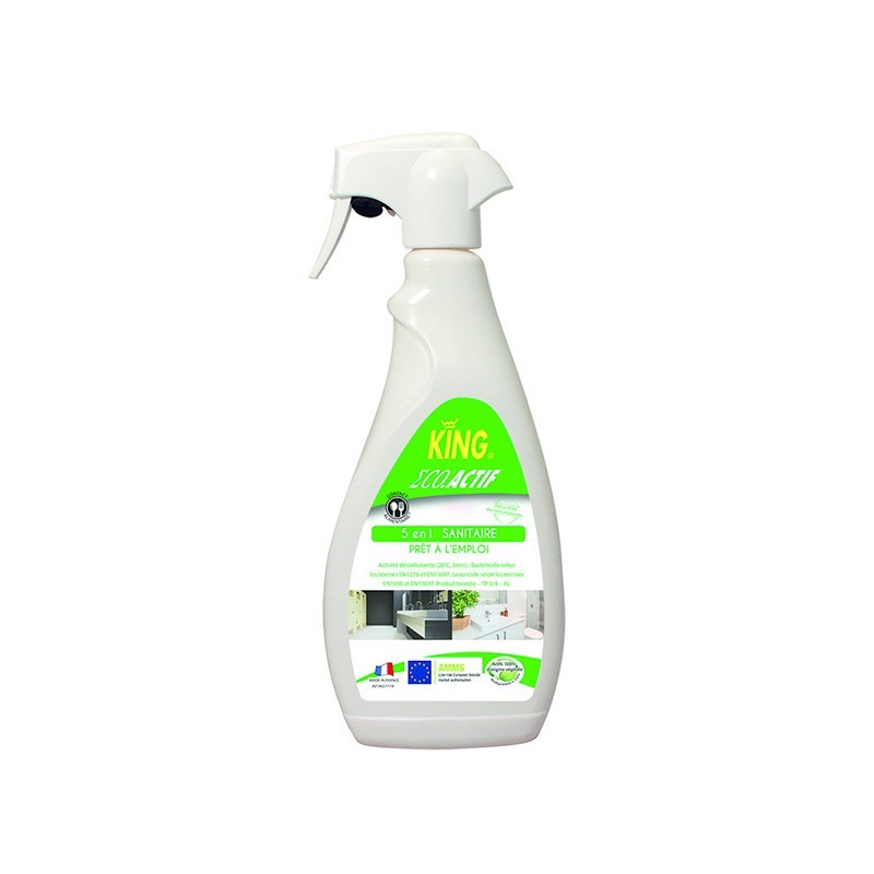 Spray nettoyant virucide 5 en 1 EN14476 Ecocert 750 ml